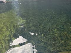 -鼎湖山风景区