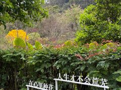 -云溪植物园