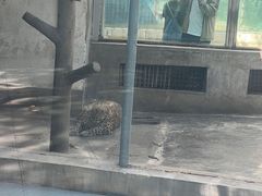 -攀枝花公园