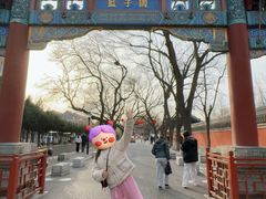 -北京国子监胡同