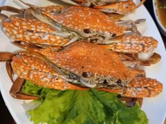 -Rimpa Lapin悬崖餐厅