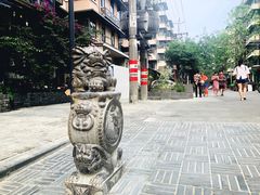 -泡桐树街
