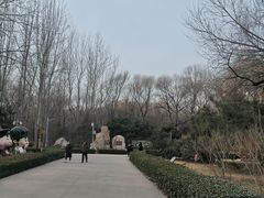 -廊坊市自然公园