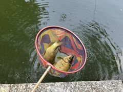 -酷鱼垂钓CLUB(朝阳区博大路店 )