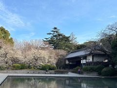 -东京国立博物馆