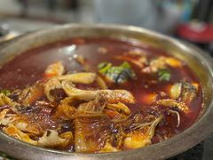 -重庆特色冷锅鱼(武大店)