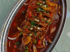 天麻烧汁鲈鱼-中卫御苑福膳·养生局(圆明园店)
