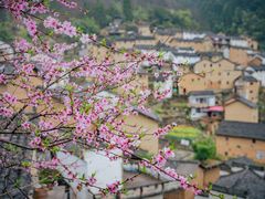 -阳产土楼