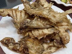 -林之六八·6886大连老菜馆