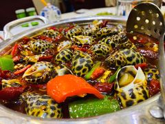 -海儀美食楼(湾仔海鲜街店)