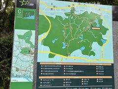 -火炉山森林公园