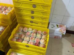 -老袁家蜜桃农场·阳山水蜜桃