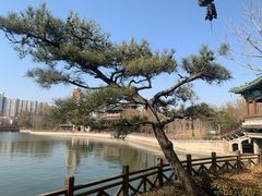 -迎泽公园