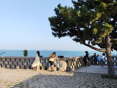 -小麦岛公园