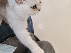 -共舞时光猫咖·狗咖(新街口店)