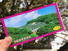 -普陀山慧济禅寺