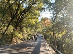 -岳麓山风景名胜区