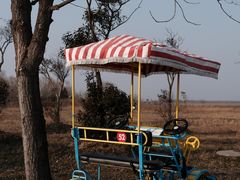 -盐城丹顶鹤湿地生态旅游区