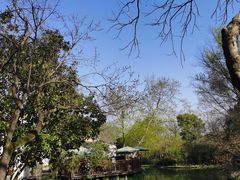 -西溪国家湿地公园