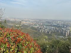 -杭州半山国家森林公园