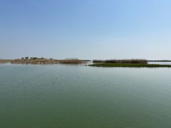 -苏州太湖湖滨国家湿地公园