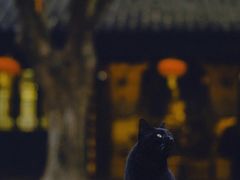 -无锡梅园公园