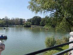 -朝阳公园游乐园