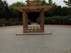 -达活泉公园