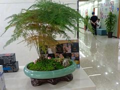 -茂菊口腔连锁(浦东南路店)