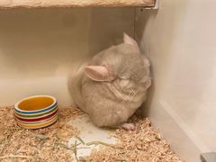 -龙猫仔乐园(惠福东路店)