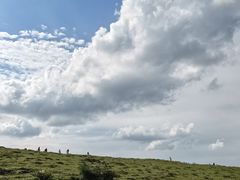 -芦芽山旅游度假区