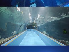 -台州海洋世界
