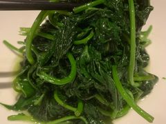 -南麓·浙里(外滩店)