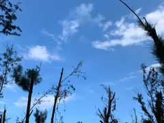 -西涌国际滨海旅游区