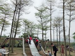 -天适樱花悠乐园