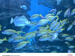 -海合安成都极地海洋公园