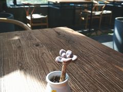 -北马山庄植趣咖啡