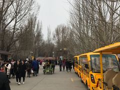 -廊坊市自然公园
