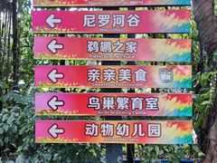 -广州长隆飞鸟乐园