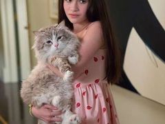 -犀牛家猪排