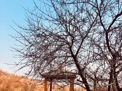 -龙洞风景区-藏龙涧