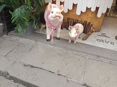 -磁器口古镇