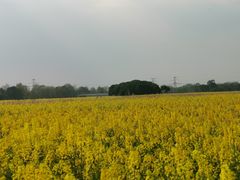 -中国天府农业博览园