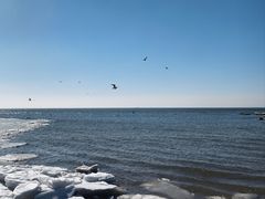 -老虎石海上公园