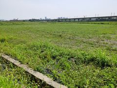 -光明小镇欢乐田园