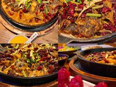-老板恋上鱼(高新万达店)