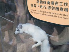 -北戴河集发农业梦想王国