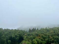 -江南天池