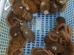 -王四营海鲜市场