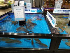 水产区-盒马鲜生(联投广场店)
